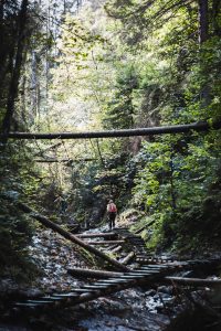 Slovak Paradise