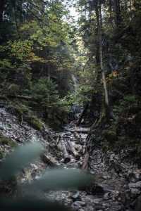 Klaštorská gorge